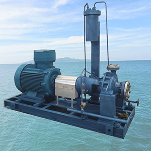 Petrochemical Process Pump111.jpg